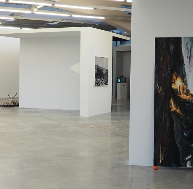 Badia Larouci, vue de l'exposition Oasis, Kunsthalle, Mulhouse. 2019