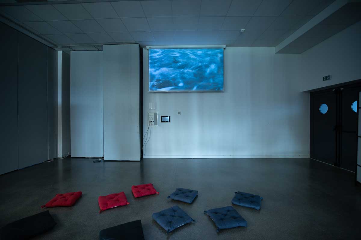 Alix Lebaudy, Phases, vue de l'exposition Escale #4 — Océanopolis, 2023, Océanopolis, Brest. © Photo : Marie-Claire Raoul