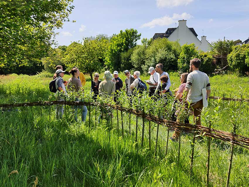 Exploration de la prairie de Keravilin à Guipavas avec Bretagne vivante, 7 mai 2022