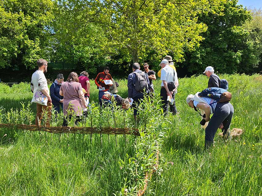 Exploration de la prairie de Keravilin à Guipavas avec Bretagne vivante, 7 mai 2022