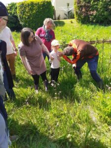 Rendez-vous au vallon du Stang-Alar à Guipavas le 7 mai 2022, bouton d'or