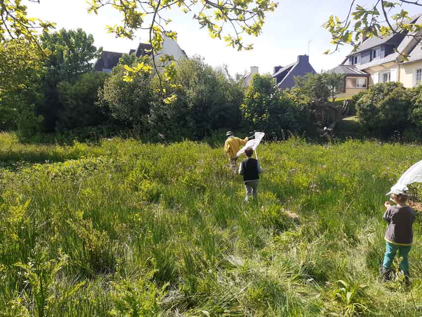 Rendez-vous au vallon du Stang-Alar à Guipavas le 7 mai 2022, chasse aux papillons