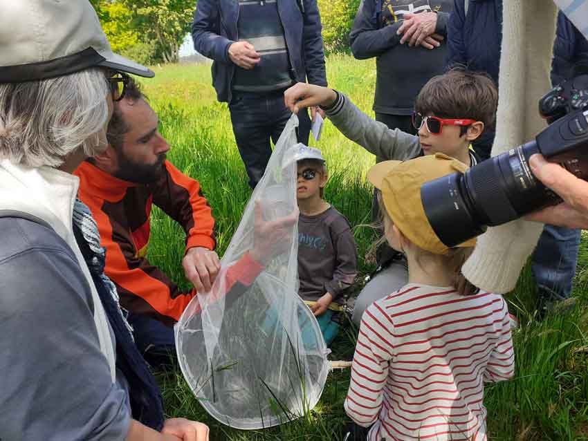 Rendez-vous au vallon du Stang-Alar à Guipavas le 7 mai 2022, manipulation papillons