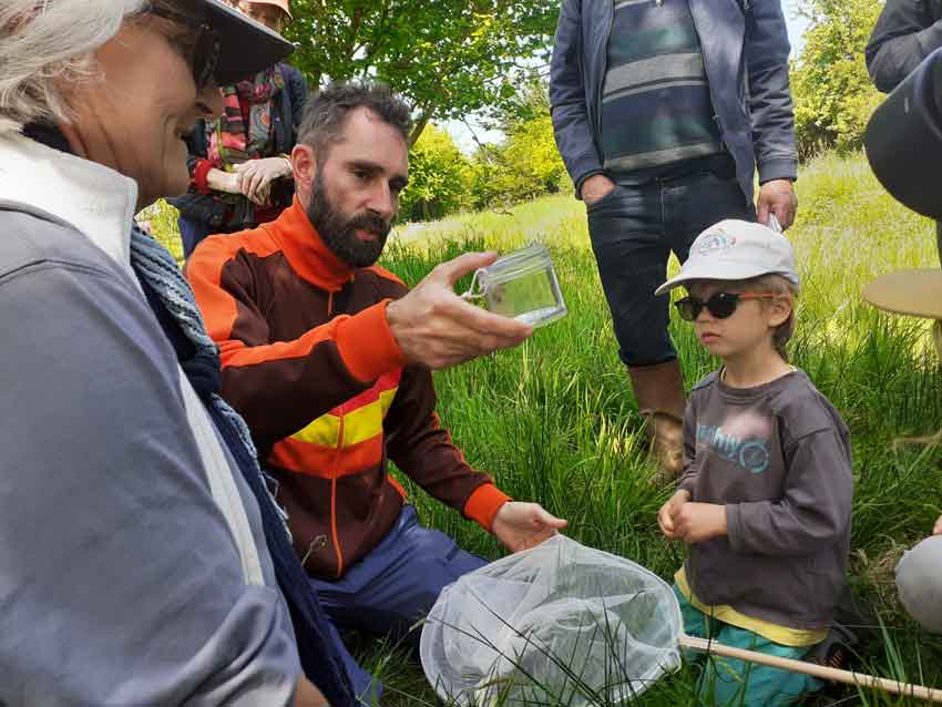 Rendez-vous au vallon du Stang-Alar à Guipavas le 7 mai 2022, Observation des papillons avec David Noguès, éducateur nature pour l'association Bretagne Vivante