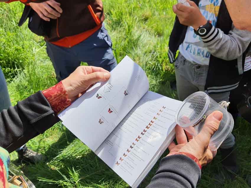 Rendez-vous au vallon du Stang-Alar à Guipavas le 7 mai 2022, identifications papillons Keravilin avec David Noguès, éducateur nature pour l'association Bretagne Vivanteidentification papillons