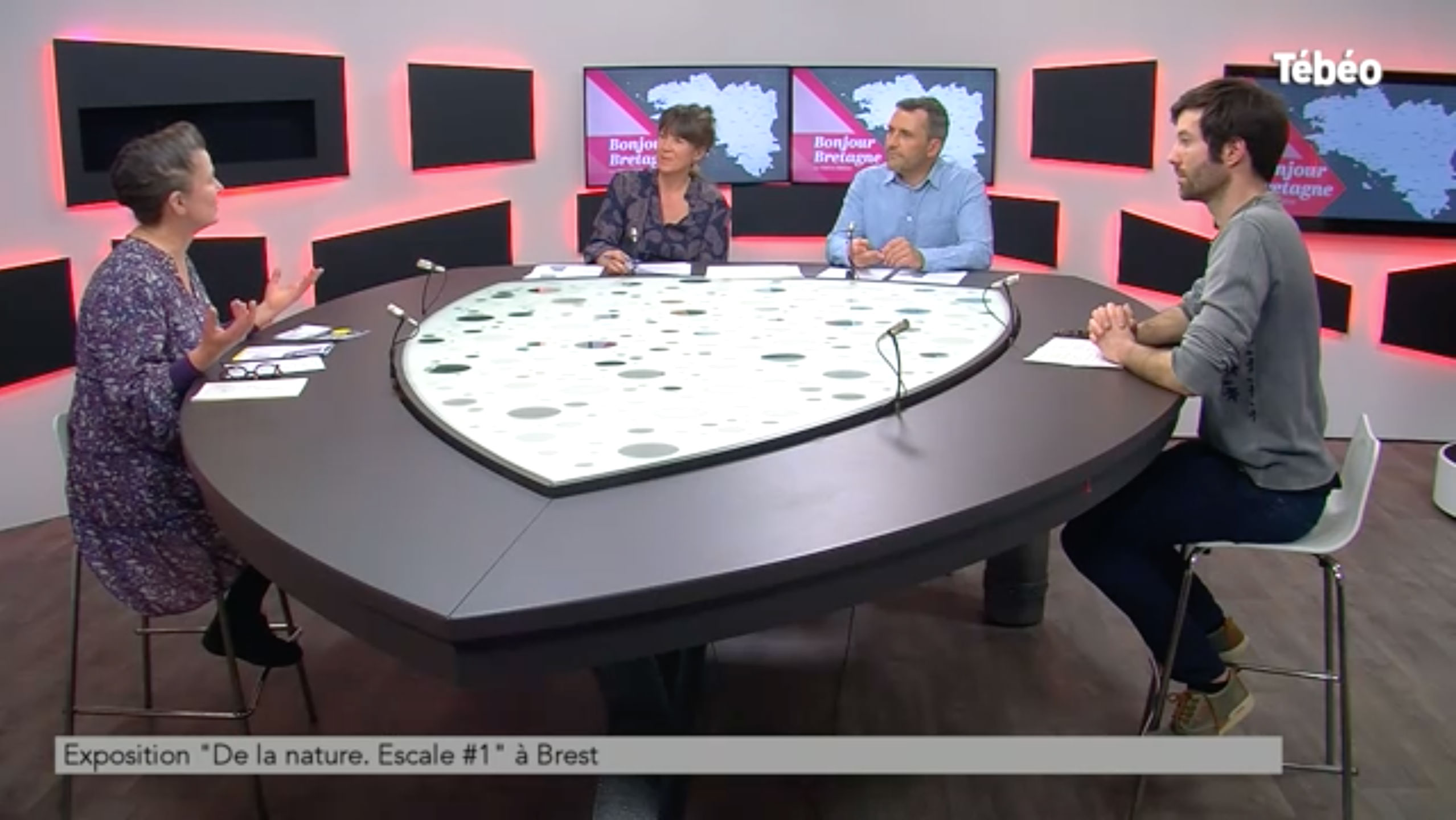 Interview de Marie-Claire Raoul sur Tébéo dans l'émission [Bonjour Bretagne] de Pauline Fercot, 22 mars 2022, Brest