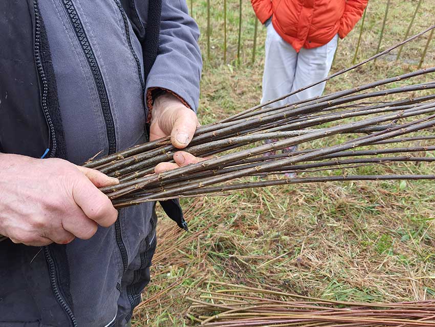 Chantier participatif, construction de la sculpture [Marcher sur l'eau blanche] de Marie-Claire Raoul, prairie de Keravilin, Guipavas, 28 février, 1er et 3 mars 2022