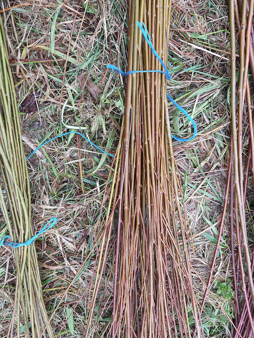 Chantier participatif, construction de la sculpture [Marcher sur l'eau blanche] de Marie-Claire Raoul, prairie de Keravilin, Guipavas, 28 février, 1er et 3 mars 2022