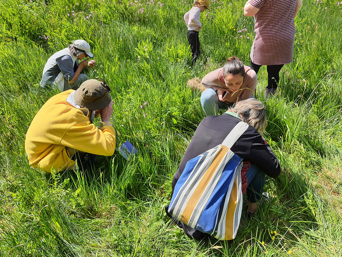 Rendez-vous au vallon du Stang-Alar le 7 mai 2022, prairie de Keravilin, exploration nature avec Bretagne vivante