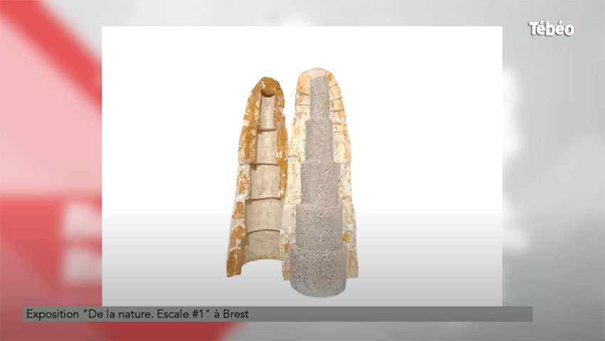 Visuel de l'œuvre [Etalon] de Mariieke Rozé et Vincent Lorgeré diffusé dans l'émission Bonjour Bretagne sur Tébéo le 22 mars 2022
