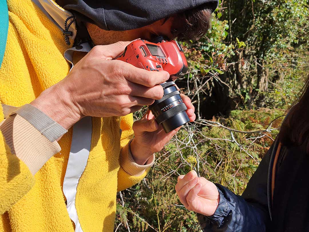 Sortie botanique du groupe d'artistes en résidence à la Tourbière du Canada à Guouesnou avec le botaniste et phytosociologue Loïc Delassus, le 16 mai 2021. L'association CLIP est présente pour filmer cette sortie.