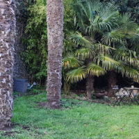 Jardin de la maison de l'ancien peintre et maitre verrier du XIXème siècle Jean-Louis Nicolas à Morlaix