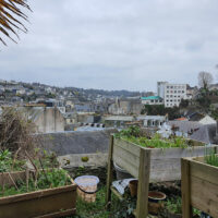 Jardin de la maison de l'ancien peintre et maitre verrier du XIXème siècle Jean-Louis Nicolas à Morlaix, décembre 2022