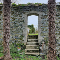 Jardin de la maison de l'ancien peintre et maitre verrier du XIXème siècle Jean-Louis Nicolas à Morlaix, décembre 2022