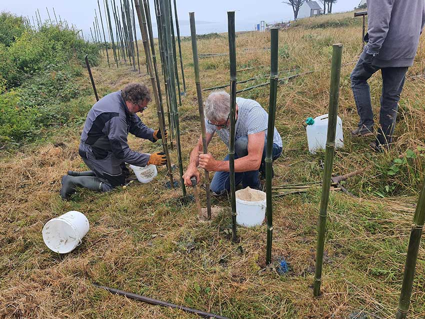 Chantier pour l'installation de Marie-Claire Raoul Hent ar Mor en perches de bambou à Saint-Pabu, 12,13 et 14 juin 2023.