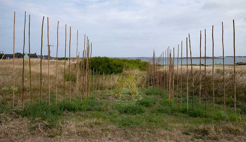 Marie-Claire Raoul, Dour ar Gazel, sculpture en bambous et brins de saule vivant, vue en regardant vers la mer, exposition Escale #3-Aber Benoît à Saint-Pabu, été 2023.