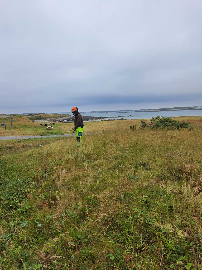 Débroussaillage de la zone d'implatation de la structure en peches de bambous "Hent ar Mor". 12 juin 2023.