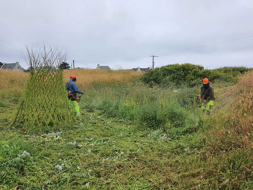 Chantier pour l'installation de Marie-Claire Raoul Hent ar Mor en perches de bambou à Saint-Pabu, 12,13 et 14 juin 2023.