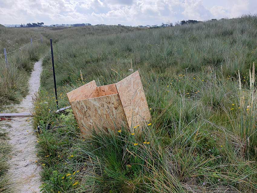 Installation des œuvres sur le Gr34 en vue de l'exposition "Escale #3 - Aber Benoît" à Saint-Pabu. Semaine du 19 juin 2023.