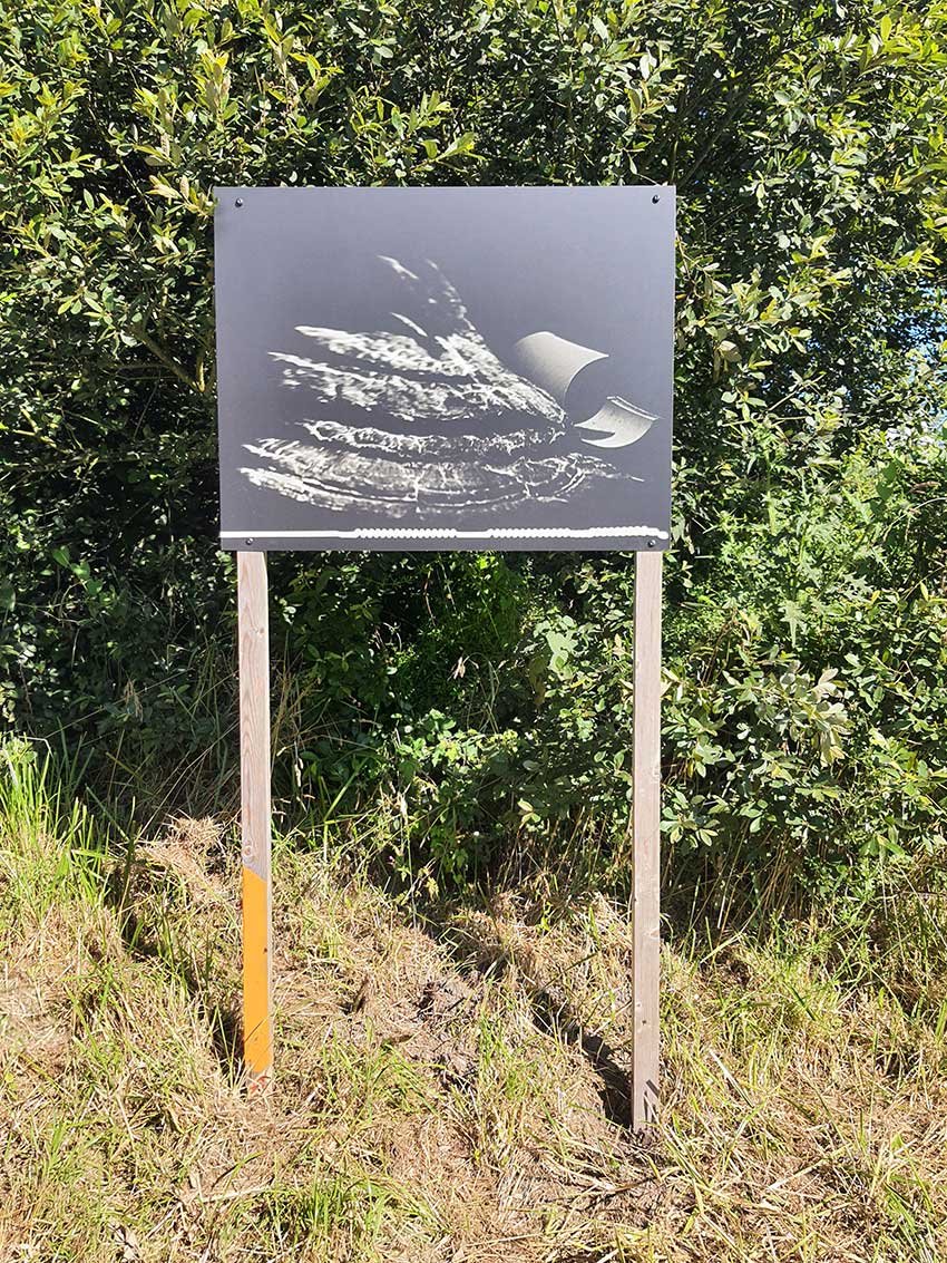 Installation des œuvres sur le Gr34 en vue de l'exposition "Escale #3 - Aber Benoît" à Saint-Pabu. Semaine du 19 juin 2023.