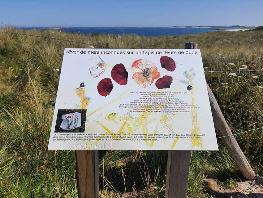 Installation des œuvres sur le Gr34 en vue de l'exposition "Escale #3 - Aber Benoît" à Saint-Pabu. Semaine du 19 juin 2023.