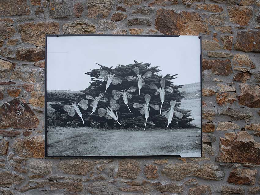 Elouan Cousin, Recherche sur le positif, photographie sur dibond, 102x80cm, Maison des Abers, mur ouest (point 8).