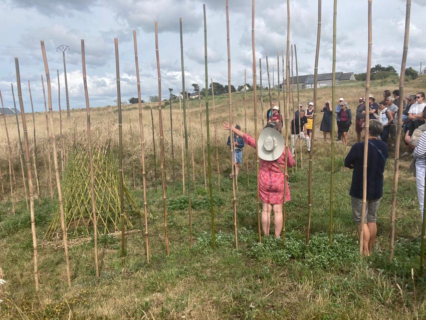 Dunes de Toul Tréas (Point 7). Marie-Claire Raoul présente son projet [Dour ar Gazel] en perches de bambou et brins de saule vivant. Long. 20mxLar. 5mxHaut. 4m.