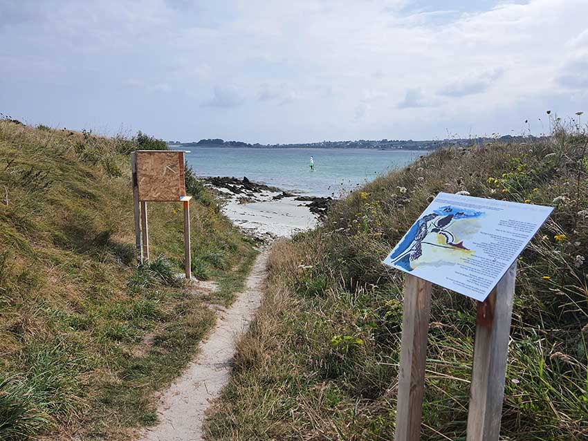 Chemin qui descend vers la plage de Korn ar Gazel. A droite, Le panneau du rituel du Chemin des goémoniers de Marie-Michèle Lucas. A gauche, House n°3de Nesrine Mouelhi. Photo © Nesrine Mouelhi.