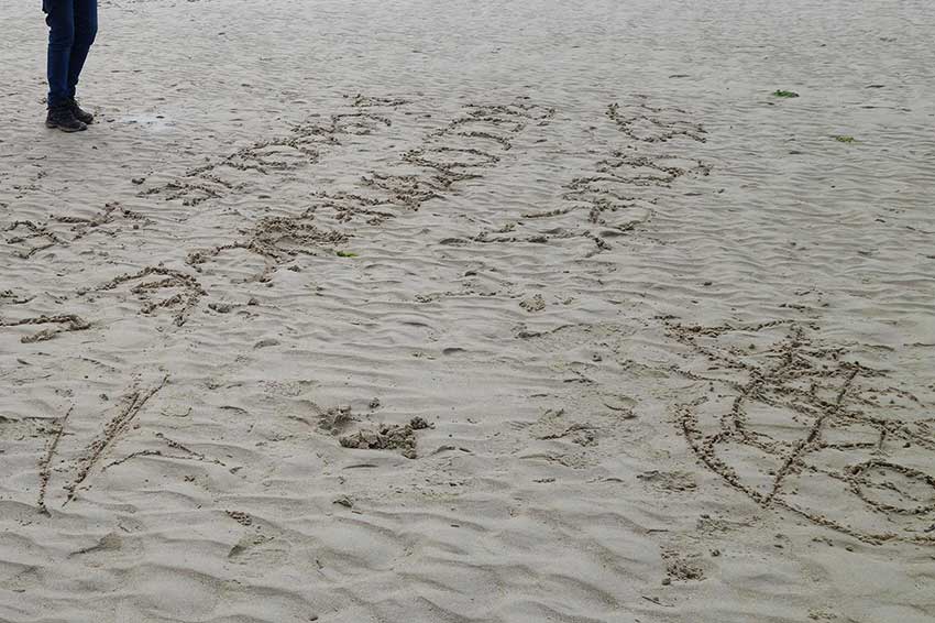 Le rituel du salut à la mer. Balade artistique de Marie-Michèle Lucas le 4 août 2023 dans le cadre de l'exposition Escale #3-Aber Benoît à Saint-Pabu.