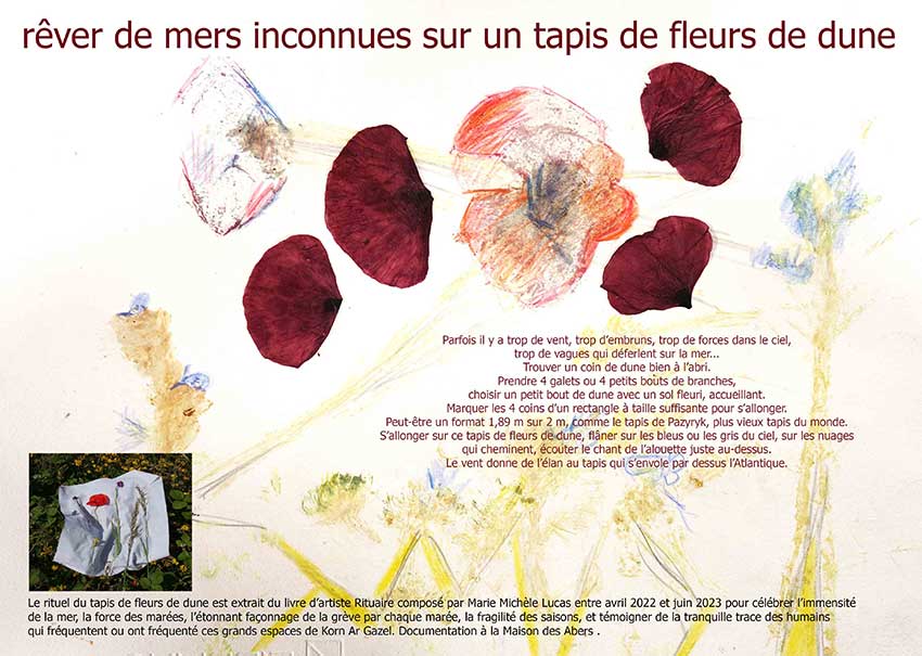 Marie-Michèle Lucas, Rituaire, Rêver de mers inconnues, Saint-Pabu, Rôcher du lièvre. Exposition Escale #3-Aber Benoît.