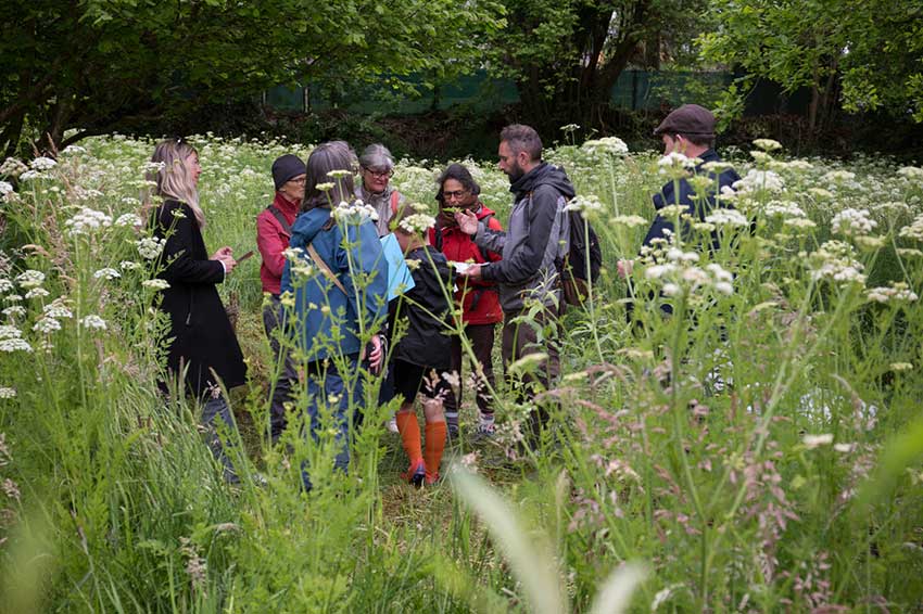 Atelier Exploration de la biodiversité de la prairie humide de Keravilin, autour de la sculpture Marcher sur l'eau blanche de Marie-Claire Raoul, prairie de Keravilin à Guipavas, 22 mai 2024. © Photo Franck Lebaudy