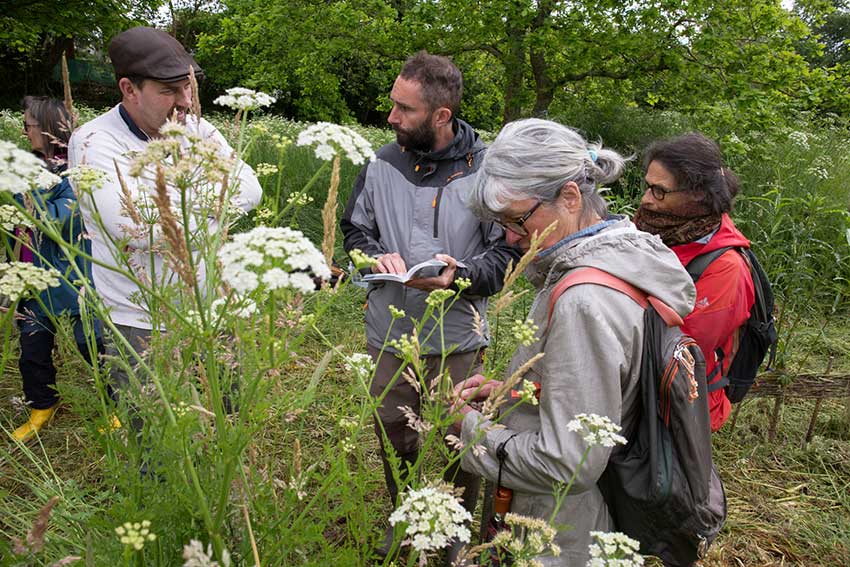 Atelier Exploration de la biodiversité de la prairie humide de Keravilin, autour de la sculpture Marcher sur l'eau blanche de Marie-Claire Raoul, prairie de Keravilin à Guipavas, 22 mai 2024. © Photo Franck Lebaudy