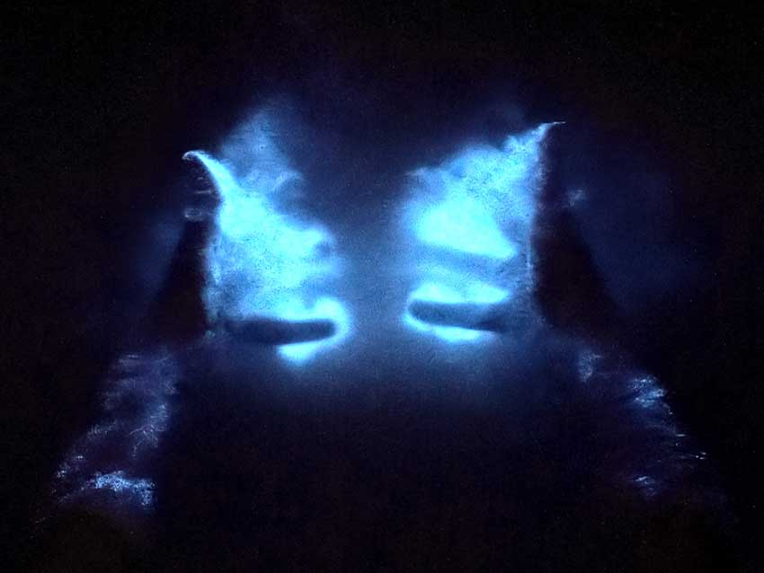 Pauline Hégaret , Impositions (mains), projet Mixotrophia, extrait video, 2025
