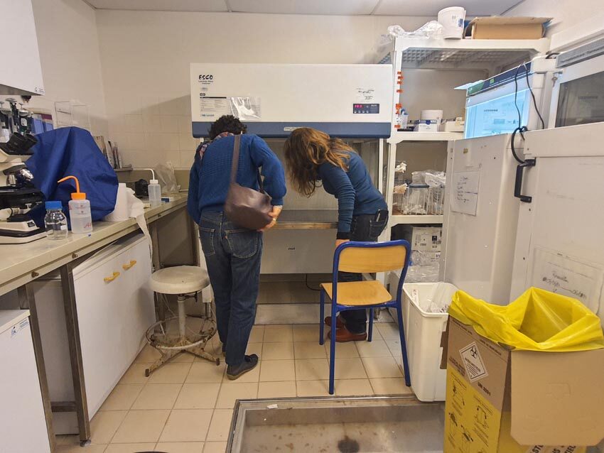 Résidence HABLOOM, coup d'œil sur l'enceinte à flux laminaire du laboratoire IUEM, matin du 12 novembre 2024. Photo © Marie-Claire Raoul