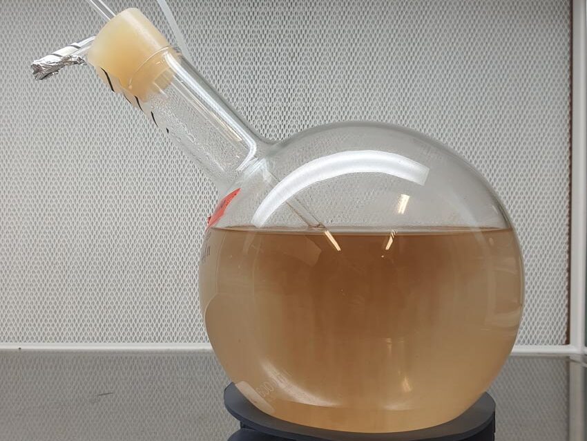 Ballon de culture de microalgues Lingulodinium, Résidence HABLOOM, visite du laboratoire IUEM, matin du 12 novembre 2024. Photo © Marie-Claire Raoul