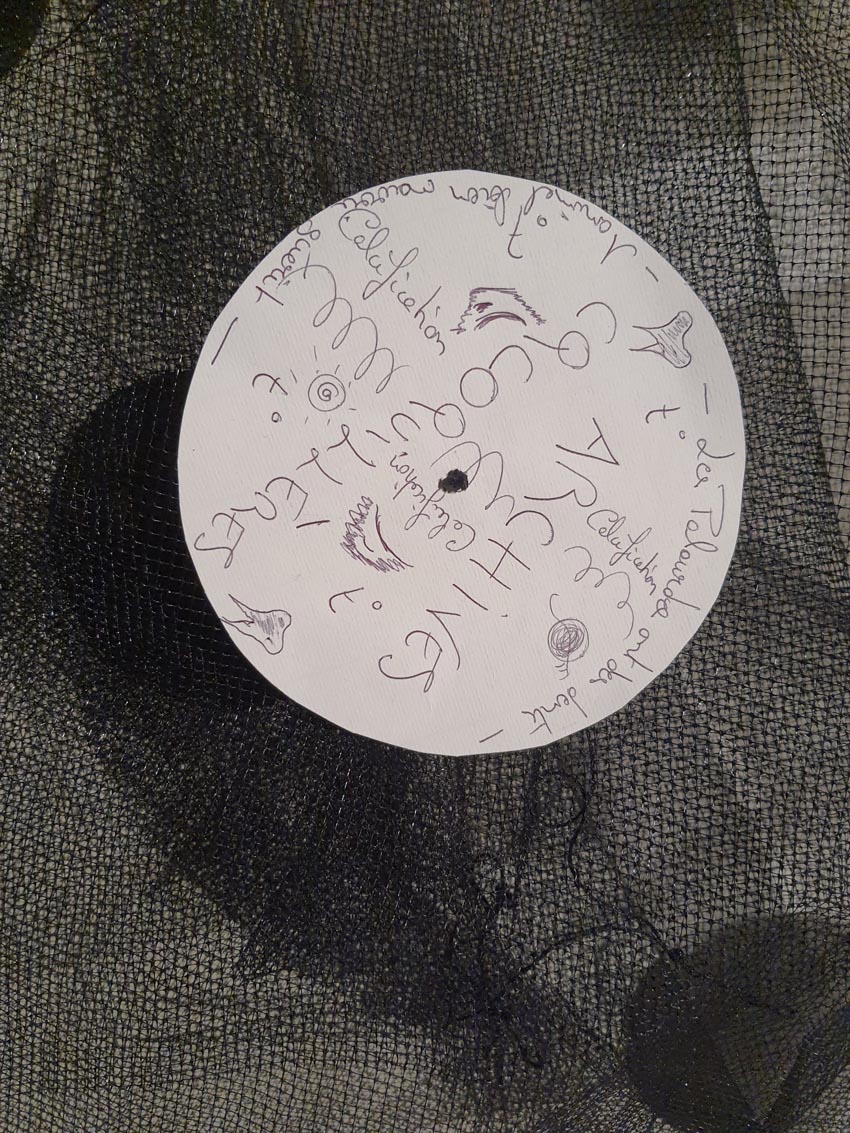 Archives coquillères, détail de l'installation issue de l'atelier [Art et science] animé par Christine Paillard et Marie-Claire Raoul aux Actes Bretagne 2025, SEW, Morlaix. Photo © M.-C. Raoul.