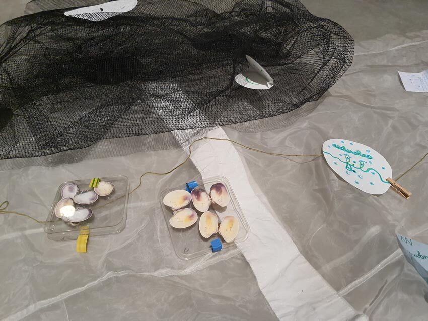 Détail de l'installation issue de l'atelier [Art et science] animé par la biologiste C.Paillard et l'artiste M.-C. Raoul aux Actes Bretagne 2025, SEW, Morlaix. Photo © M.-C. Raoul.