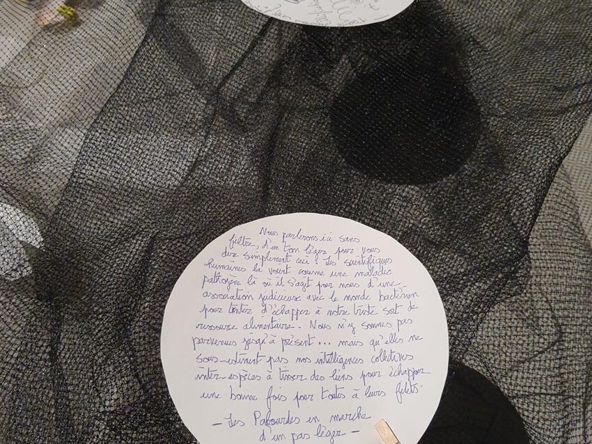 Les palourdes en marche d'un pas léger, détail de l'installation créée lors de l'atelier [Art et science] animé par Christine Paillard et Marie-Claire Raoul aux Actes Bretagne 2025, SEW, Morlaix. Photo © M.-C. Raoul.