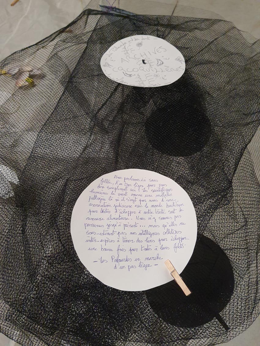 Les palourdes en marche d'un pas léger, détail de l'installation créée lors de l'atelier [Art et science] animé par Christine Paillard et Marie-Claire Raoul aux Actes Bretagne 2025, SEW, Morlaix. Photo © M.-C. Raoul.