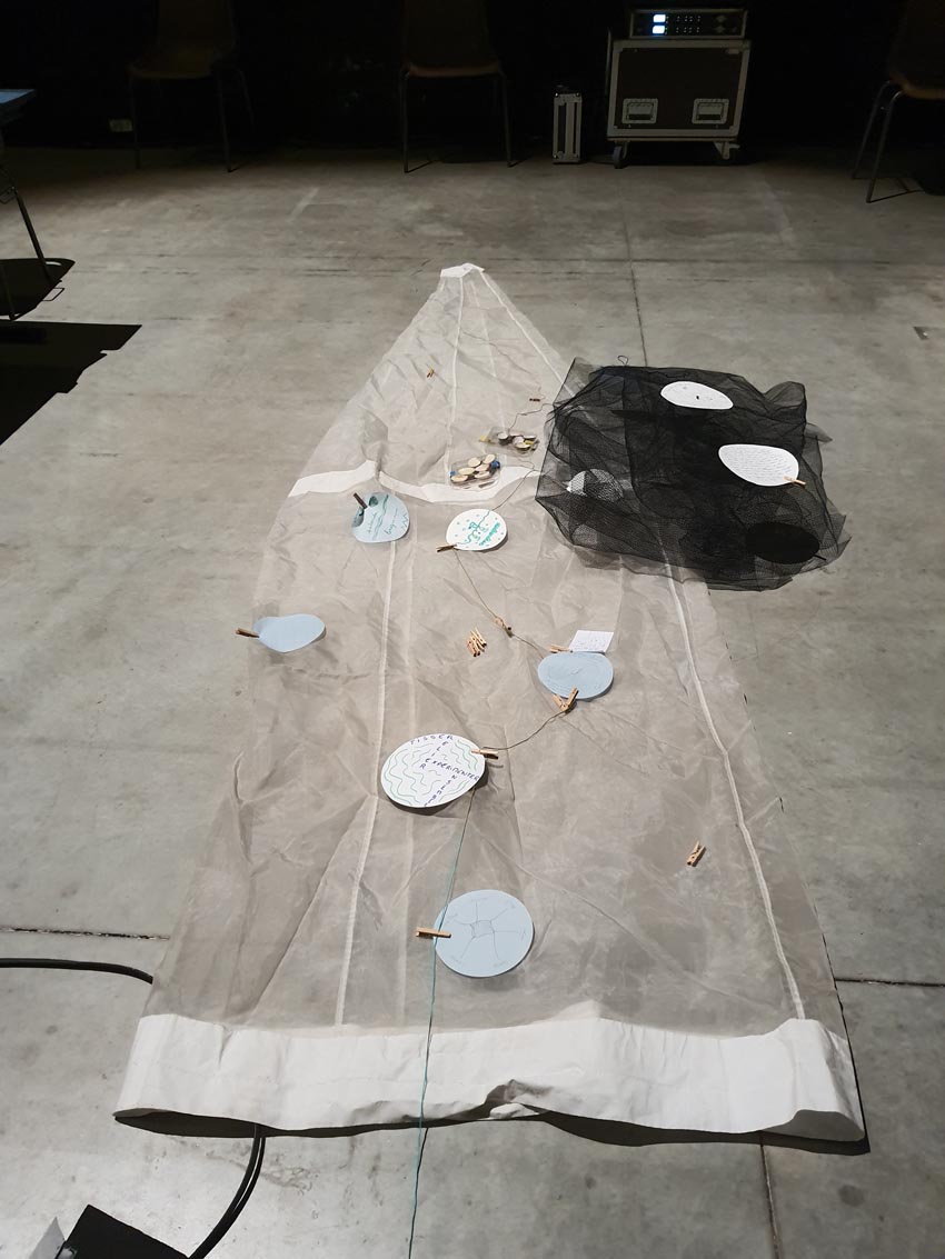 Installation issue de l'atelier [Art et science] animé par la biologiste C.Paillard et l'artiste M.-C. Raoul aux Actes Bretagne 2025, SEW, Morlaix. Photo © M.-C. Raoul.