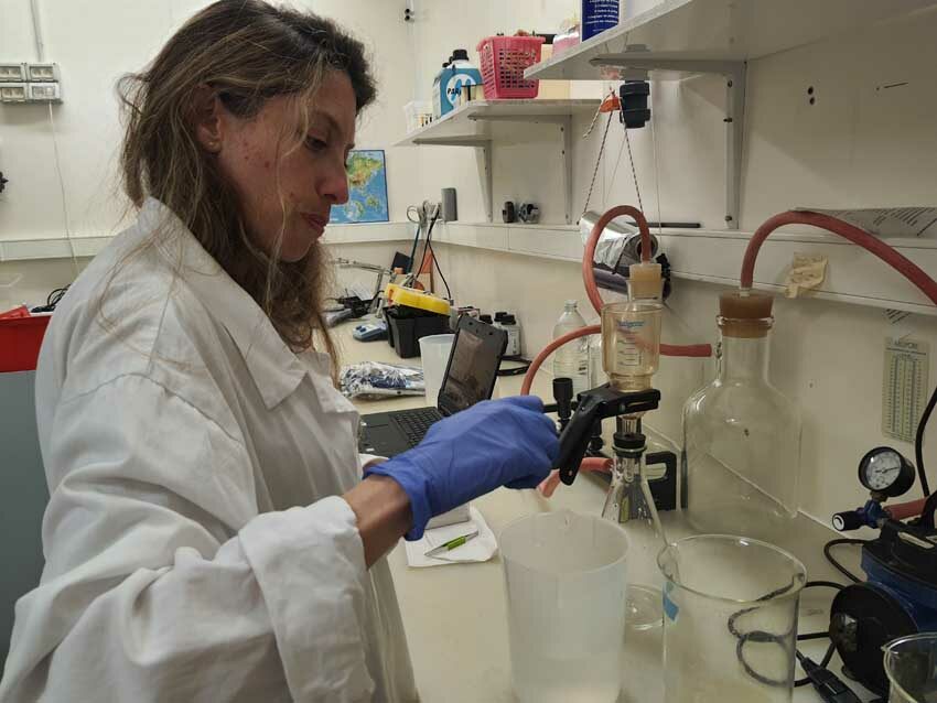 Adeline Bidault, ingénieur d'études en biologie moléculaire (UBO), réalise le filtrage des gamètes d'huîtres. Photo © Marie-Claire Raoul