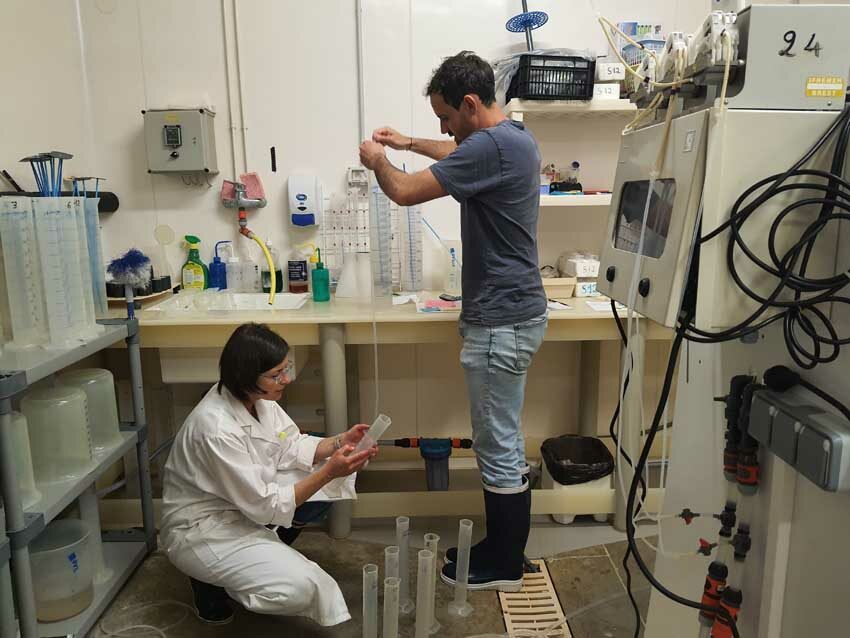 Hugo Koechlin, responsable de la station expérimentale d'Argenton, et Caroline Fabioux procèdent au filtrage des larves d'huîtres creuses, 13 mai 2025. Photo © Marie-Claire Raoul