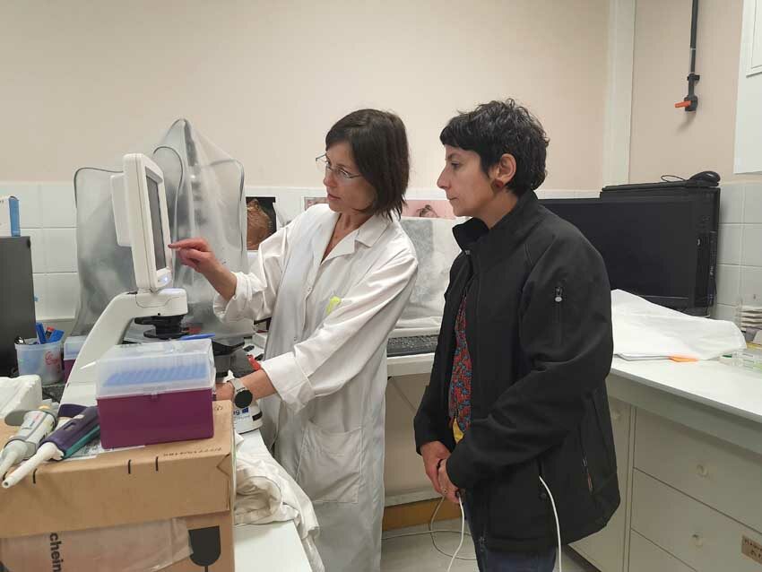 Caroline Fabioux, chercheuse en biologie marine (UBO), donne des explications à Laurence Nicola sur les observations de gamètes d'huîtres creuses au microscope, station expérimentale d'Argenton, 13 mai 2025. Photo © M.-C. Raoul