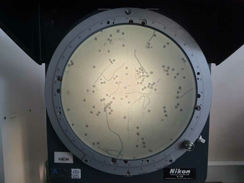 Observation avec le projecteur optique de profil de larves d'huîtres, station expérimentale d'Argenton, 15 mai 2025. Photo © M.-C. Raoul