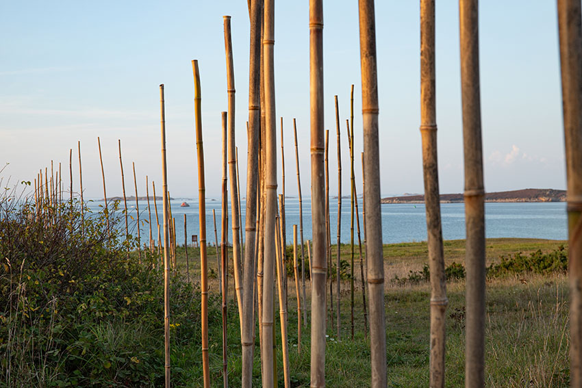 Marie-Claire Raoul, Hent ar mor, sculpture en bambous, vue en regardant vers la mer, exposition Escale #3-Aber Benoît à Saint-Pabu, été 2023.